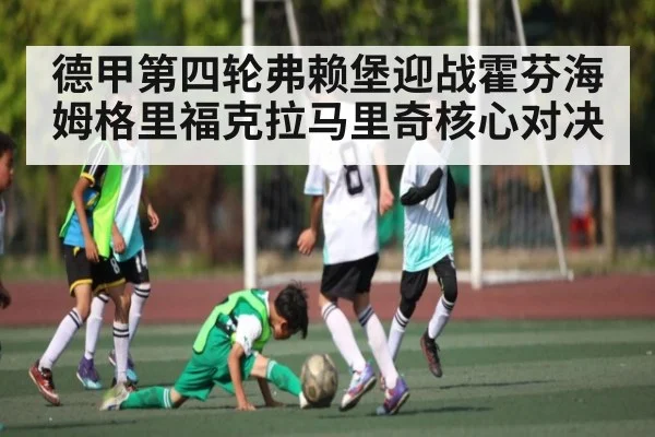 德甲第四轮弗赖堡迎战霍芬海姆格里福克拉马里奇核心对决 - kaiyun